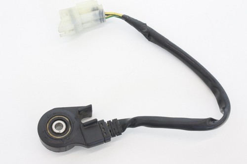 Kawasaki 300 2014 - 300,