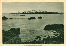 Antique Coral Reef Document Appeared Off Cannes 1938 Magazine Issue