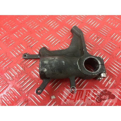 Pied fourche gauche - pied, suzuki