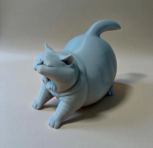 Chat qui baille décoration - baille,