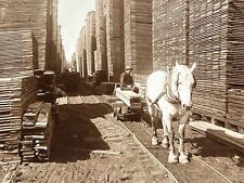 USA États-Unis Bois Scierie Minneapolis Minnesota c1900 Photo Stereo Vintage 