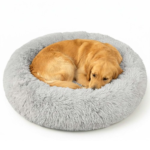 Lit pour chien - pour,