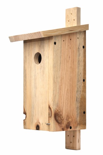 Nichoir oiseaux bois massif - oiseaux,