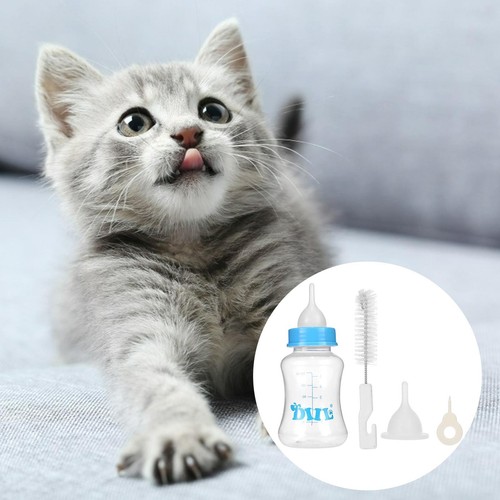 Chiot biberon chien chat - biberon,
