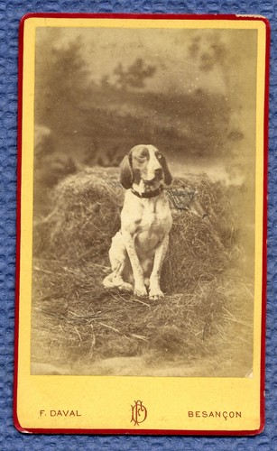 Cdv belle portrait un - cdv.,
