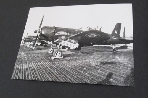 Photo avion f4u corsair - avion,