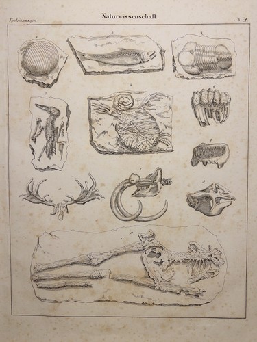 Lithographie ancienne 1833 - ancienne,