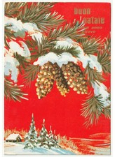 1974 Neige Branche De Sapin