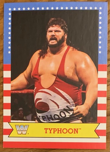 Typhoon 2017 wwe - 2017, topps