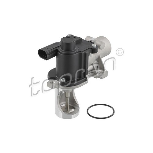 Egr valves for - egr,