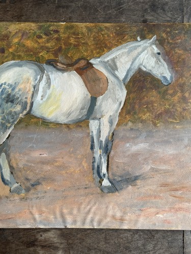 Horse study late 19th - -,