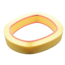 Castrol Filtre À Air Pour