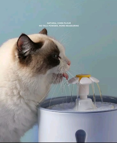 Fontaine eau pour chat - eau,