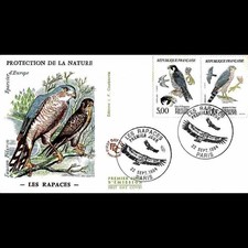 FDC JF - Epervier d'europe /