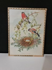 Illustration ancienne en