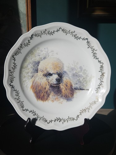 Assiette collection - assiette,
