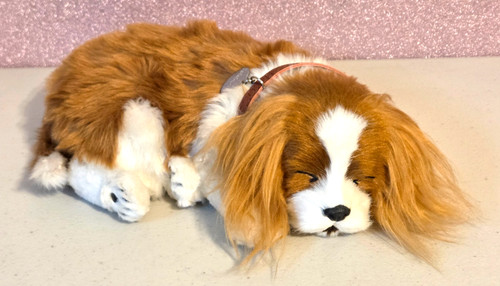 Perfect petzzz cavalier king - petzzz,