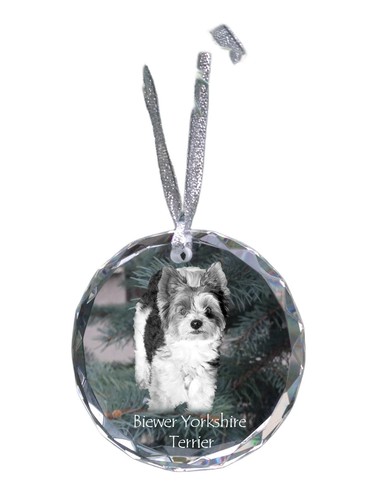 Biewer terrier - terrier,,