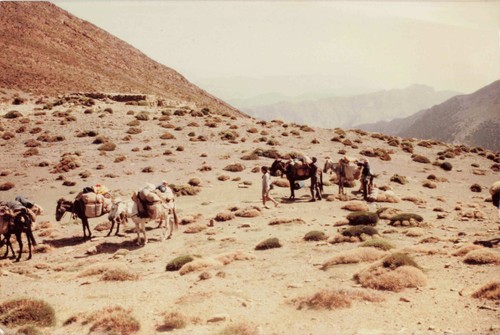 Ancienne photographie haut - photographie,