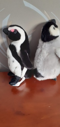 Peluches pingouins grises et - pingouins,