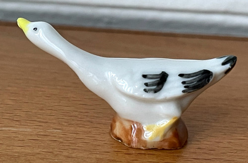 Magnifique fève oiseau - oiseau, canard