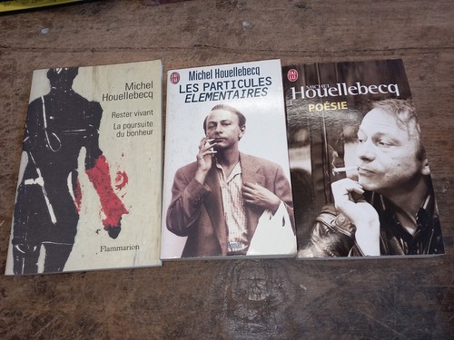 Lot livres michel - 3,