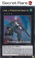 Yu-Gi-Oh! Castel, le