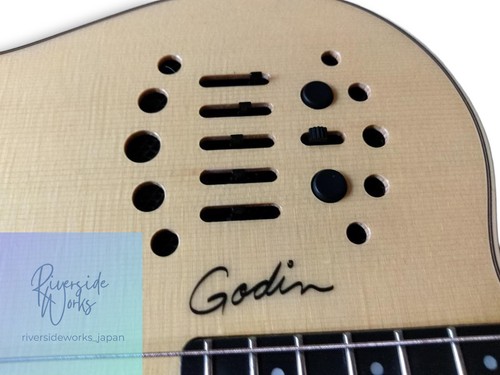Guitare godin multiac nylon - guitare,