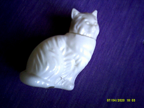 Chaton blanc verre flacon - chaton,
