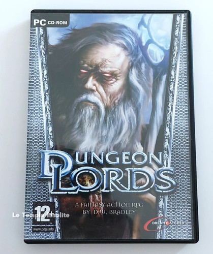 Jeu rom dungeon - jeu,