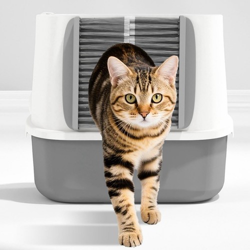 Bac litière pour chat avec - bac, à