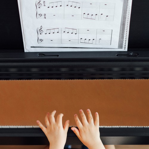 Housse pour clavier piano - de,