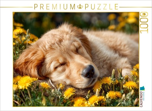Puzzle calvendo chiot - calvendo, un