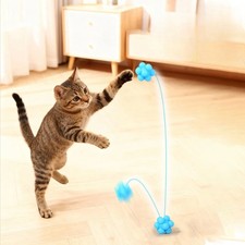 🐾 BOULE À MORDRE EN