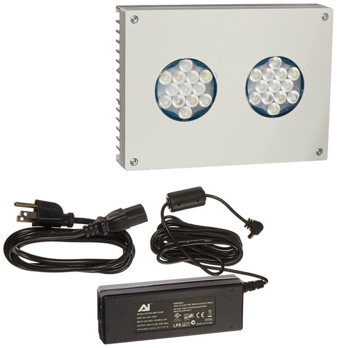 Aquaillumination hydra - aquaillumination,