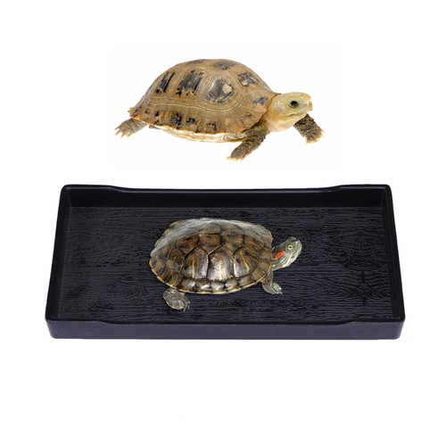 Gamelle eau tortue bol - gamelle,