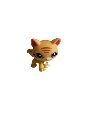 Petshop chat rare little - , pet