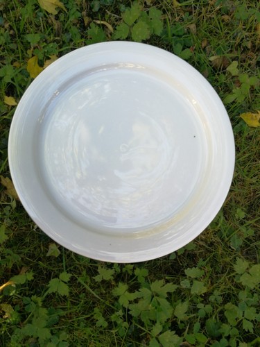 Assiettes blanches winterling - assiettes,