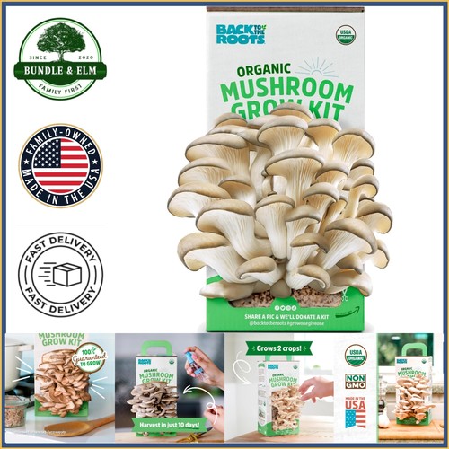 Indoor mushroom kit - indoor,