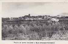 1952 -- VINES AND FRUIT TREES IN ELNE 3A068