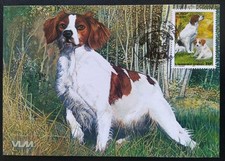 Carte Maximum Premier Jour Timbre Épagneul Breton N° 3286 Ob Gennevilliers 1999