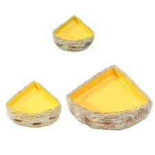 Reptile Dish tank Decor Decor Plat de nourriture pour tortue léopard gecko
