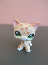 little petshop chat