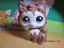 Pomeranian Dog Petshop #2280