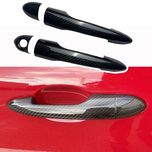 100 carbon fiber - fiber, door