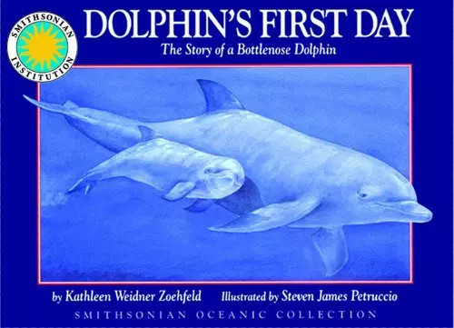 Dolphin first day the story - day:,