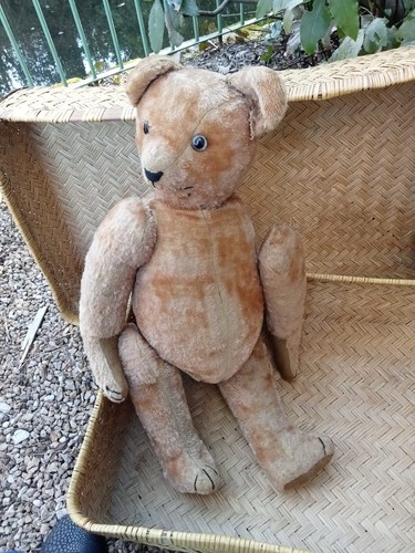 Rare ours peluche - rare:ours, articulé