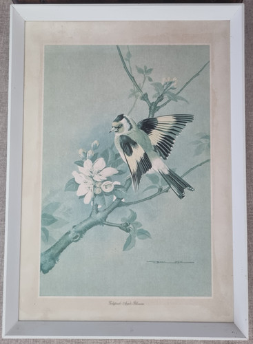 Cadre vintage 1966 basil - cadre,