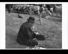 In CANTAL (15) SNACK BAR at the Cattle Market