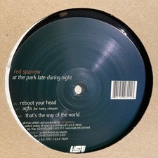 Moineau rouge - au parc tard dans la nuit